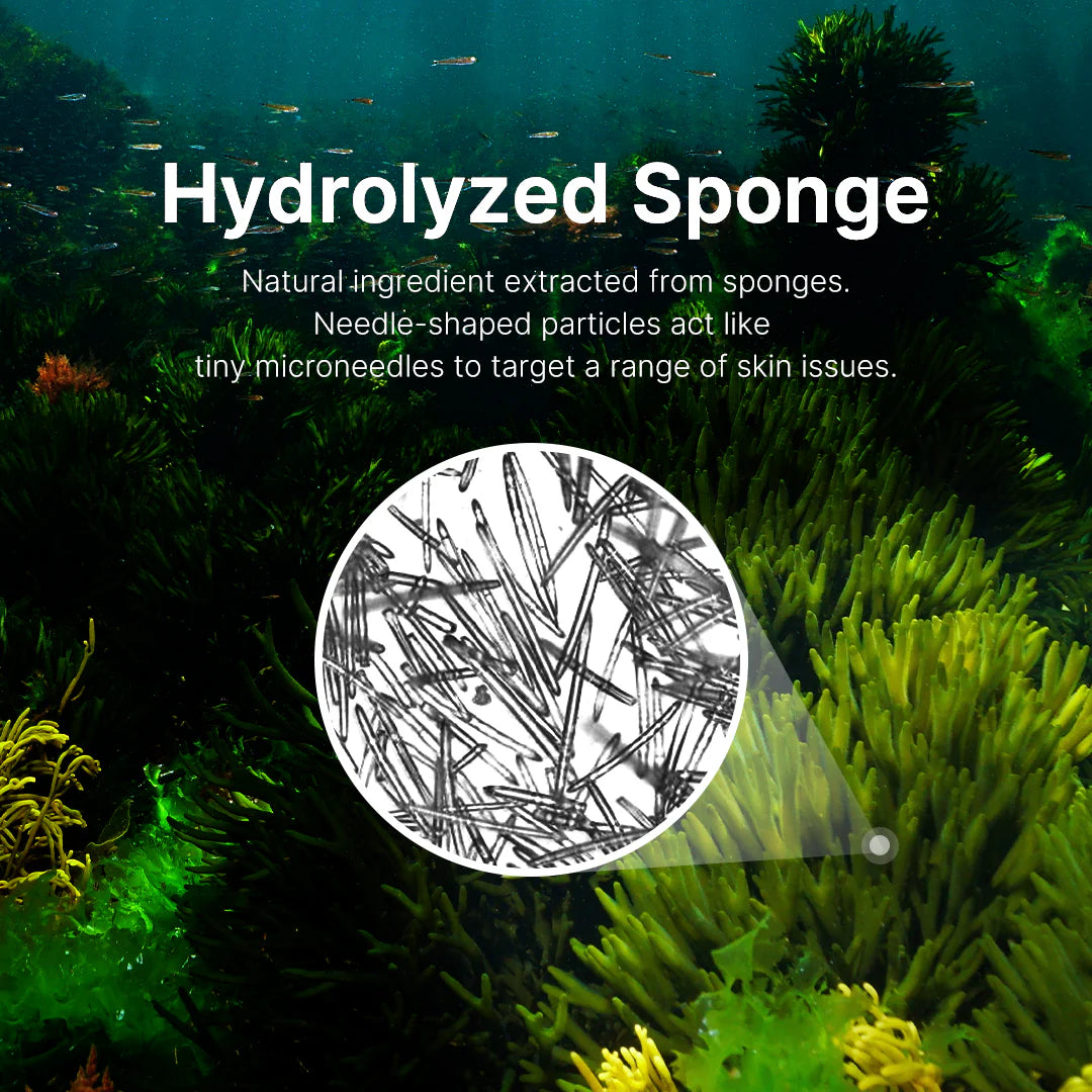 E529EC1B-0AEC-D3D9-20CB-8AEA30319087